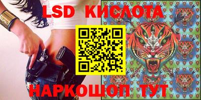 прущие грибы Конаково