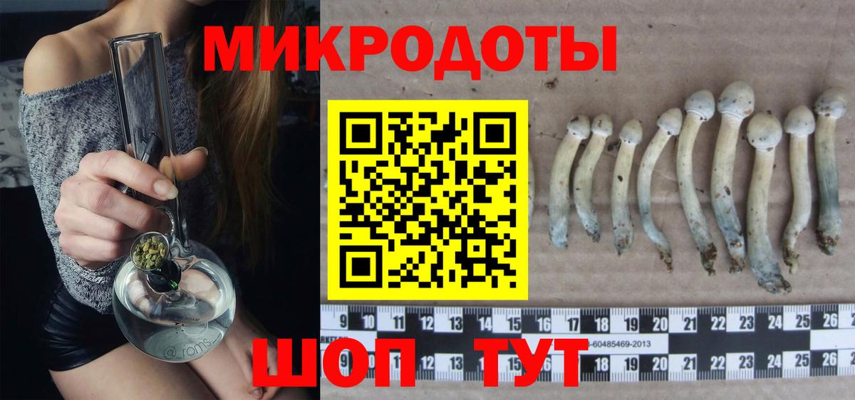 Псилоцибиновые грибы Cubensis  Вход с VPN  Кудымкар 
